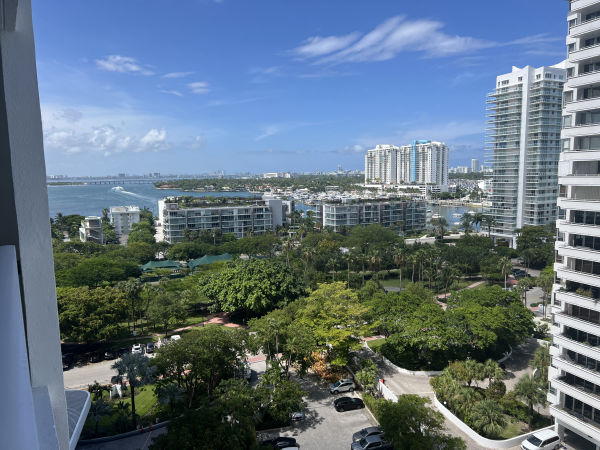 view from Nine Island