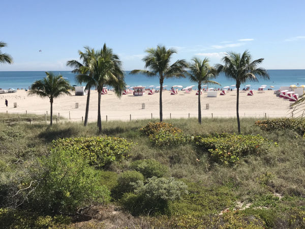 view of beach from the pool