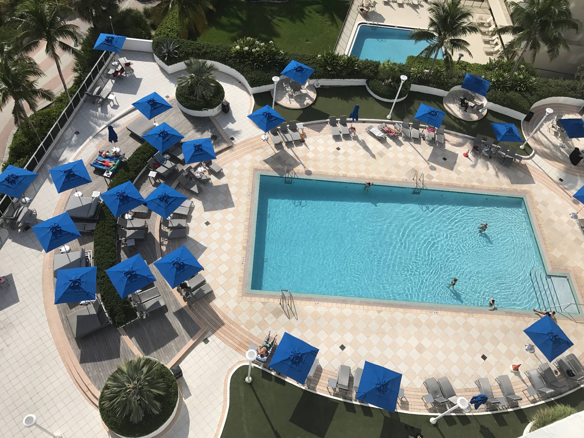 bird view of swimming pool