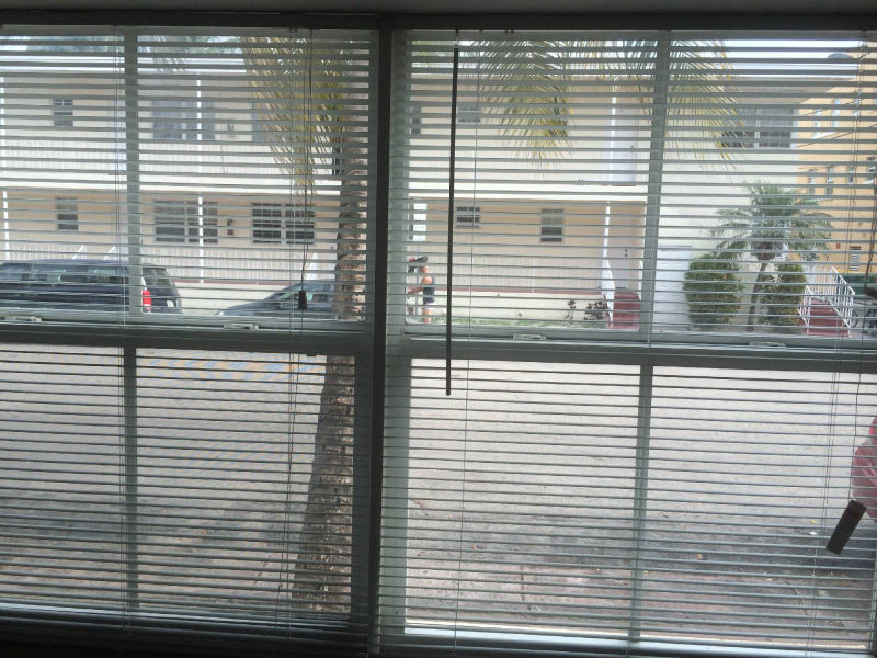 view from window