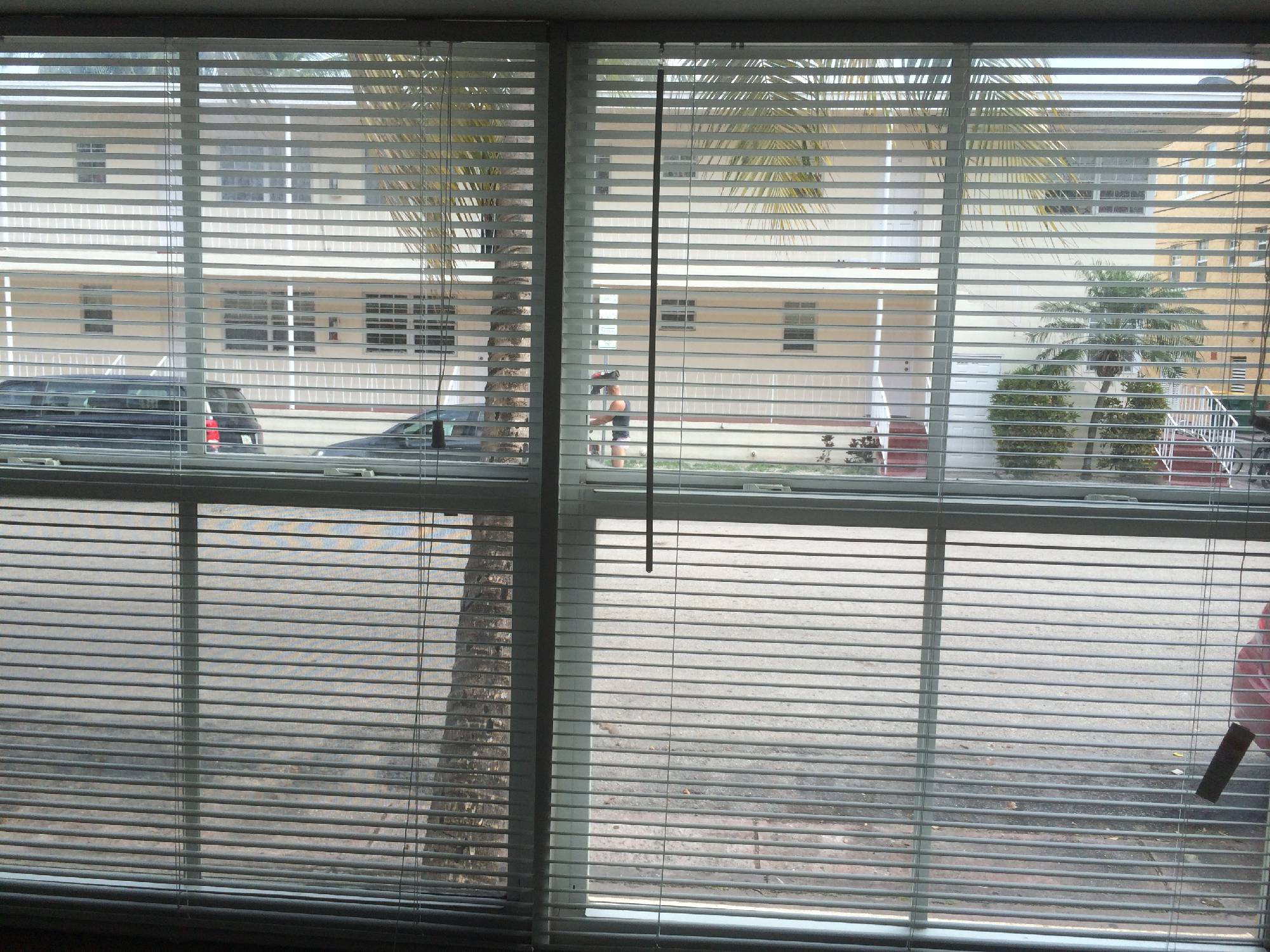 view from window
