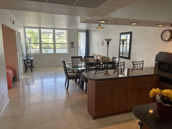 Living room and balcony